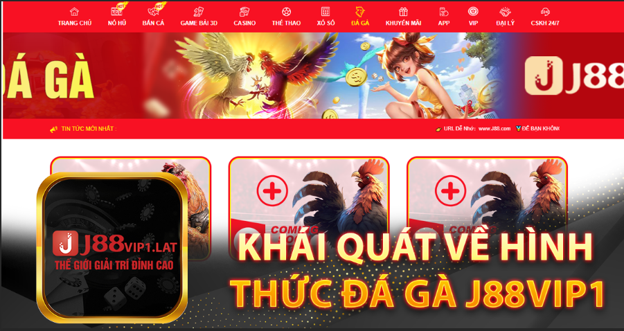 Khái quát về hình thức Đá gà J88vip1